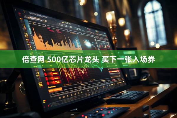 倍查网 500亿芯片龙头 买下一张入场券